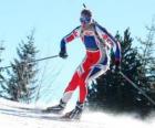 Лыжник в полную усилий в практике беговых лыжах или северные